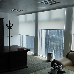 Rèm cuốn lưới